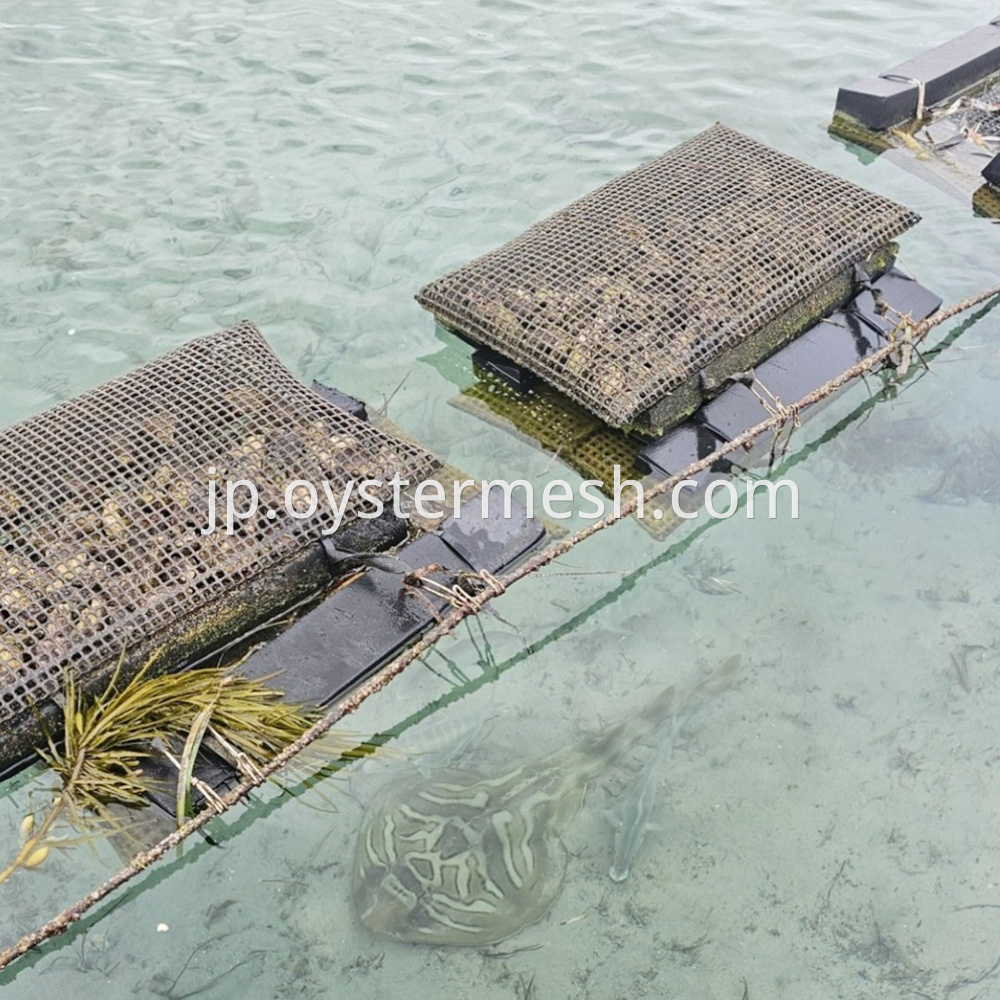 Floating Oyster Cage